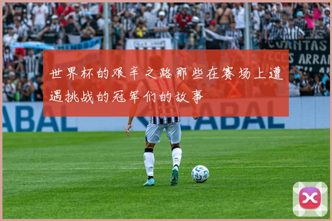 世界杯的艰辛之路那些在赛场上遭遇挑战的冠军们的故事