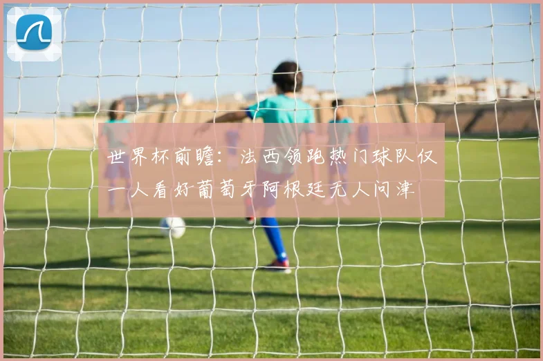 世界杯前瞻：法西领跑热门球队仅一人看好葡萄牙阿根廷无人问津